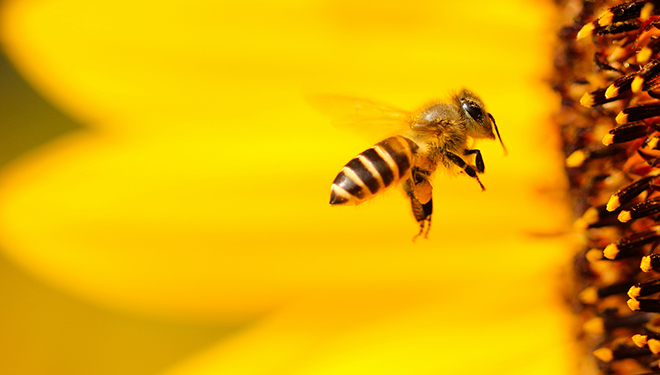 bevictor伟德官网-韦德官方网站